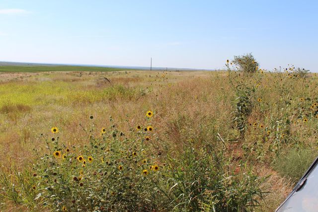 325 acres Childress, Amarillo, TX 79201