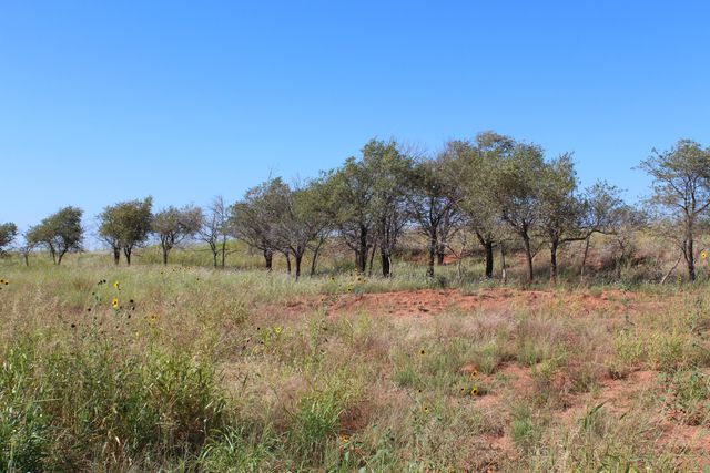 325 acres Childress, Amarillo, TX 79201