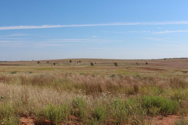 325 acres Childress, Amarillo, TX 79201
