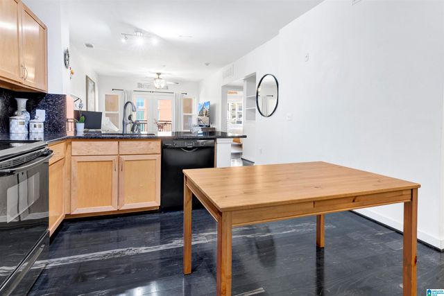 401 20th St S Apt 412, Birmingham, AL 35233