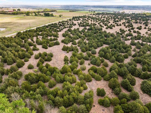TBD Lot 1 FM 128, Cooper, TX 75432