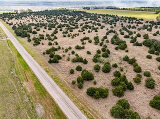 TBD Lot 1 FM 128, Cooper, TX 75432