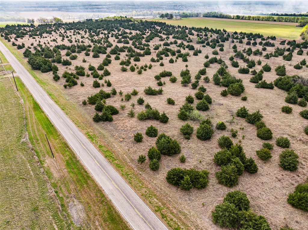 TBD Lot 1 FM 128, Cooper, TX 75432