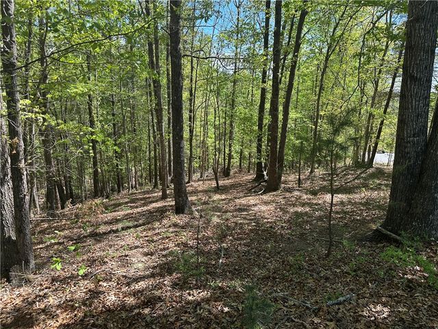 534 Ginseng Drive, Sunset, SC 29685