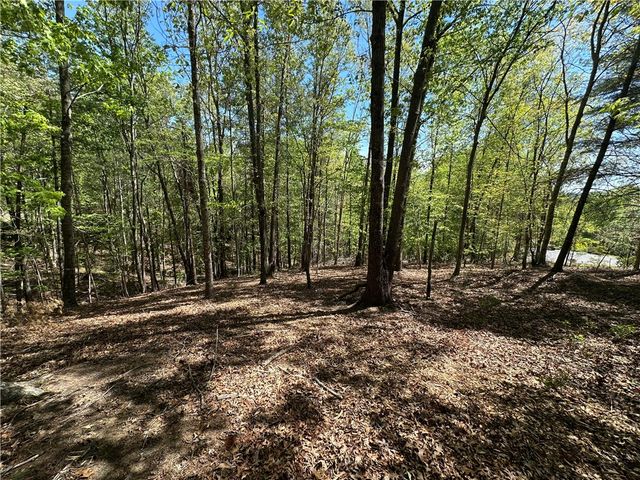 534 Ginseng Drive, Sunset, SC 29685