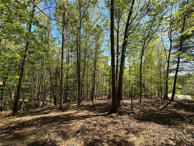 534 Ginseng Drive, Sunset, SC 29685