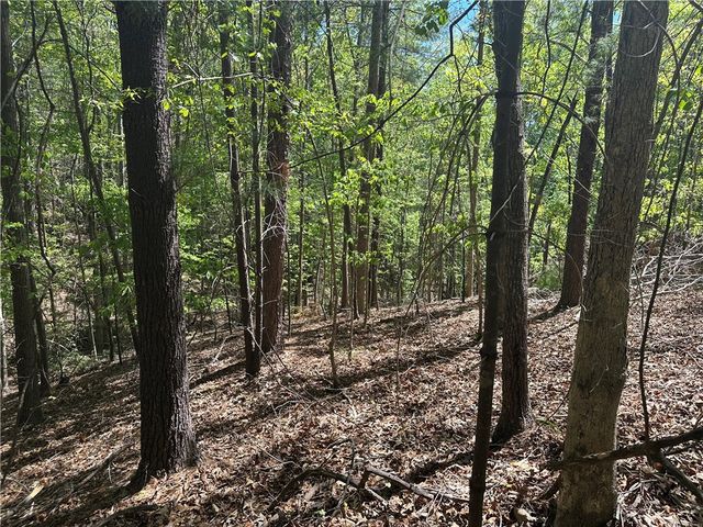 534 Ginseng Drive, Sunset, SC 29685