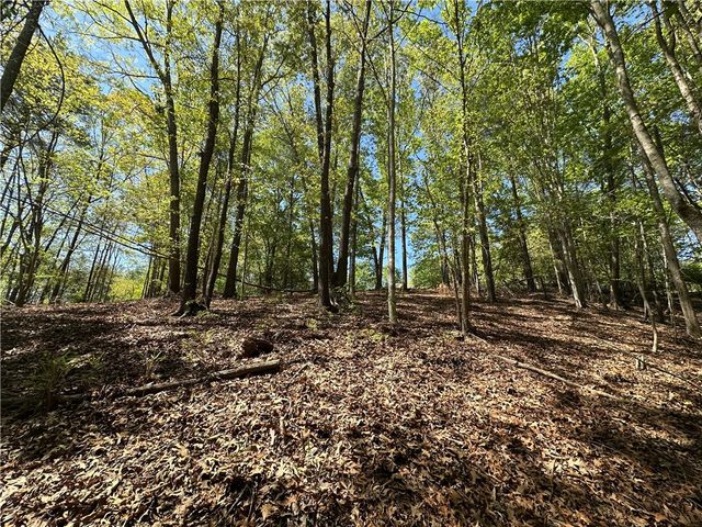 534 Ginseng Drive, Sunset, SC 29685