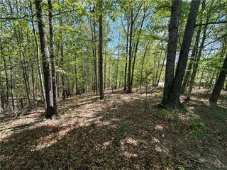 534 Ginseng Drive, Sunset, SC 29685
