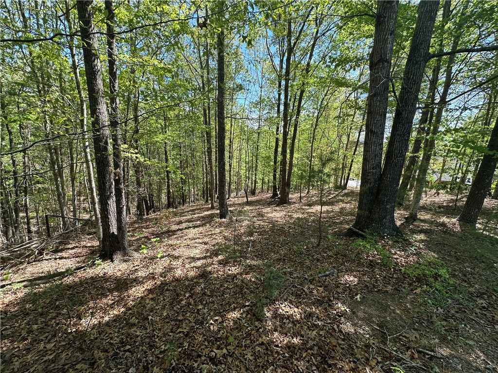 534 Ginseng Drive, Sunset, SC 29685