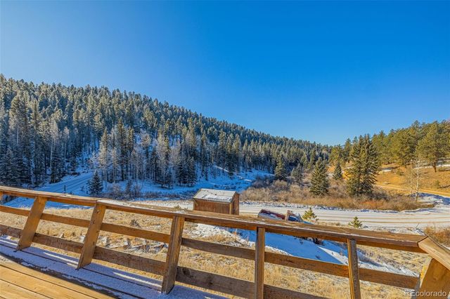 69 Snowberry Creek Road, Florissant, CO 80816