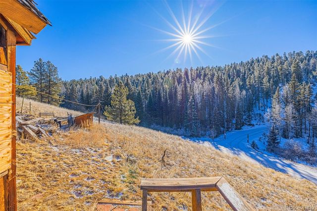 69 Snowberry Creek Road, Florissant, CO 80816