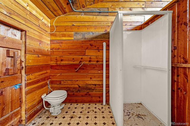 69 Snowberry Creek Road, Florissant, CO 80816