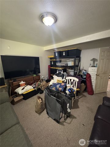 19911 State Route 165 E, Carbonado, WA 98323