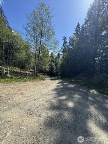 19911 State Route 165 E, Carbonado, WA 98323