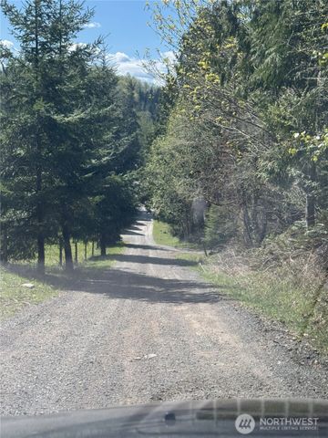 19911 State Route 165 E, Carbonado, WA 98323