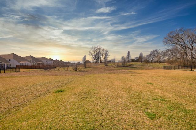 709 Conifer Dr, Spring Hill, TN 37174