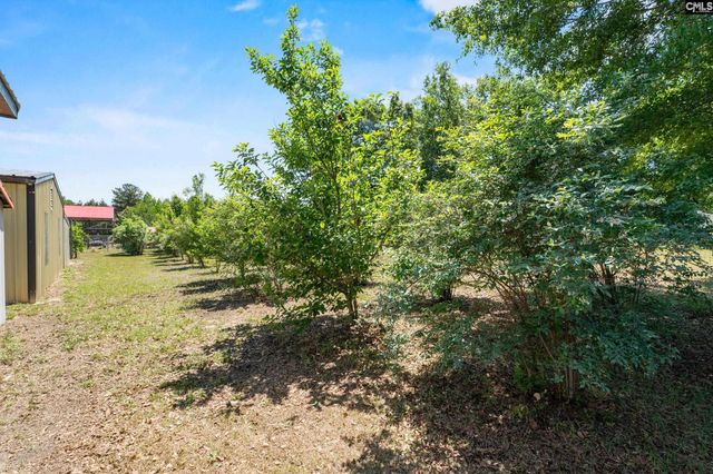 1633 Shilling Bridge Road, Orangeburg, SC 29115