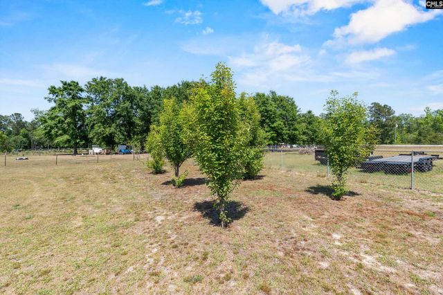 1633 Shilling Bridge Road, Orangeburg, SC 29115