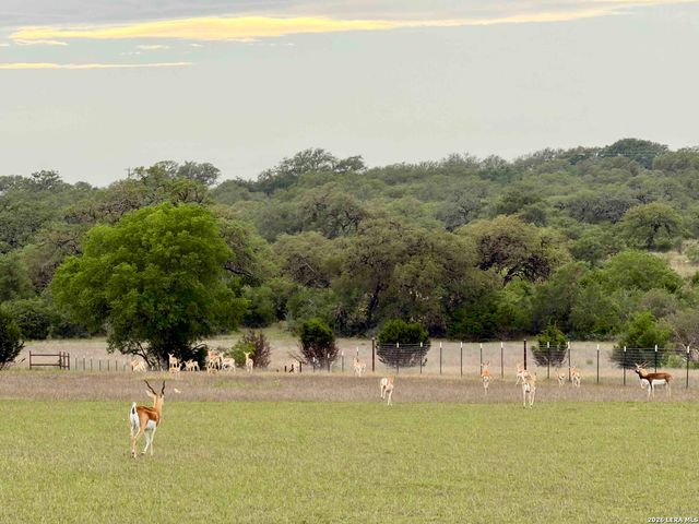 835 WINANS RANCH RD, Bandera, TX 78003