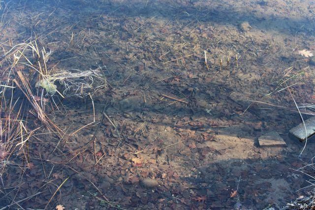 33530 446th Place, Aitkin, MN 56431