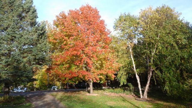 33530 446th Place, Aitkin, MN 56431