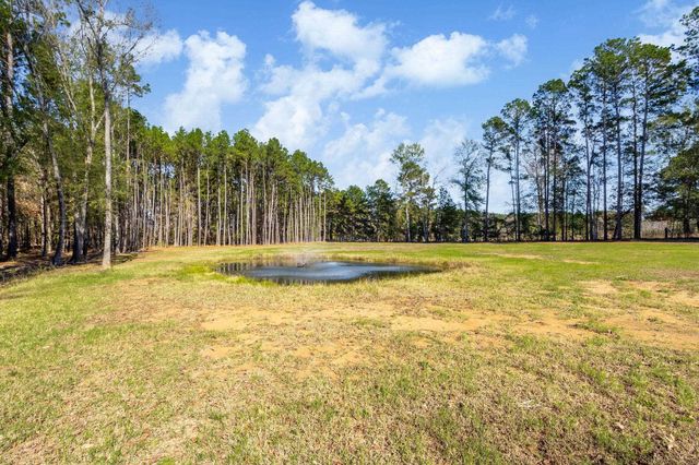 995 Old Coffeeville Rd, Lone Star, TX 75668