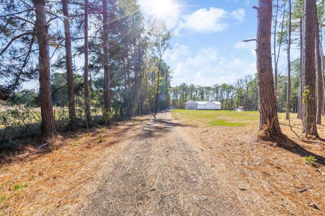 995 Old Coffeeville Rd, Lone Star, TX 75668