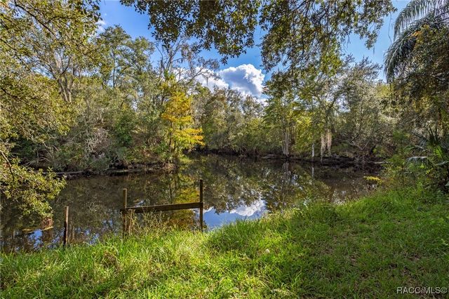 11860 E Cardinal Place, Floral City, FL 34436