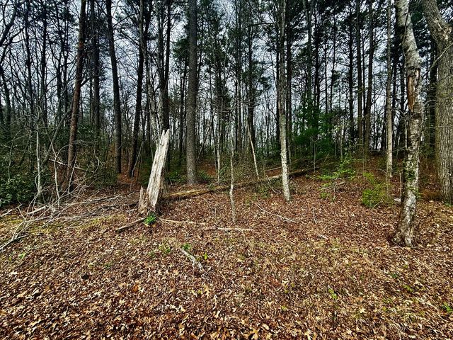 0 Nicholson Circle, Turtletown, TN 37391