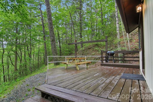 291 Dills Road, Bryson City, NC 28713