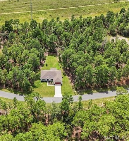 1896 W Riley Drive, Citrus Springs, FL 34434