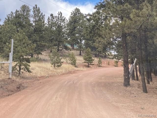 4023 Teller 1 Road, Cripple Creek, CO 80813