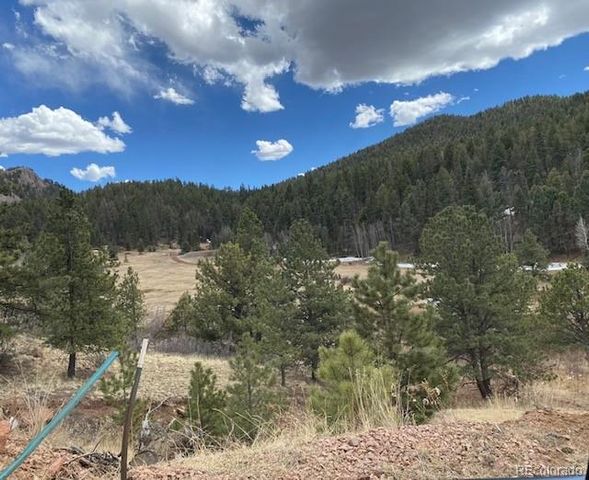 4023 Teller 1 Road, Cripple Creek, CO 80813
