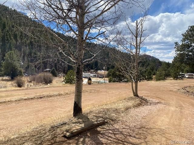 4023 Teller 1 Road, Cripple Creek, CO 80813