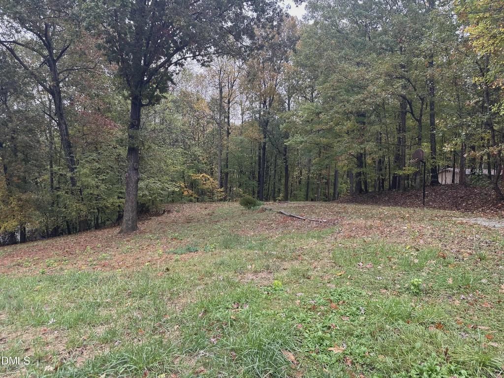 2334 Blair Drive, Hillsborough, NC 27278