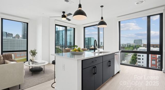 1007 S Mint Street B1, Charlotte, NC 28203