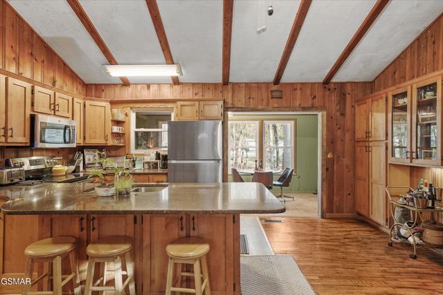 4413 E Scenic Drive, Gatlinburg, TN 37738