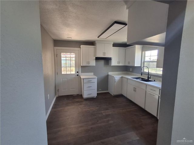 323 San Angelo Drive, Alamo, TX 78516