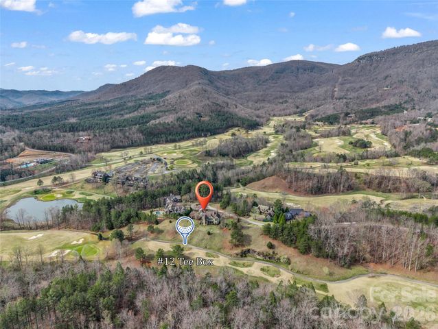 565 Chestertown Drive, Mill Spring, NC 28756