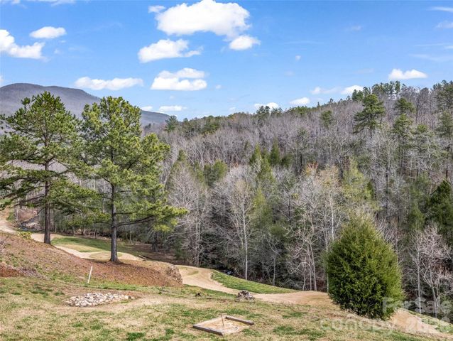 565 Chestertown Drive, Mill Spring, NC 28756