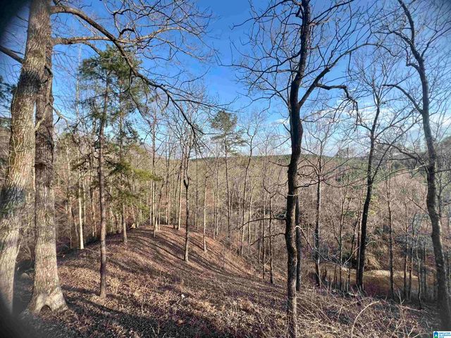 600 COOSA COUNTY ROAD 301, Rockford, AL 35136
