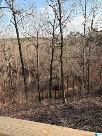 600 COOSA COUNTY ROAD 301, Rockford, AL 35136