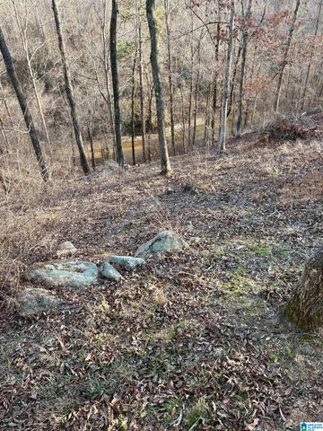 600 COOSA COUNTY ROAD 301, Rockford, AL 35136