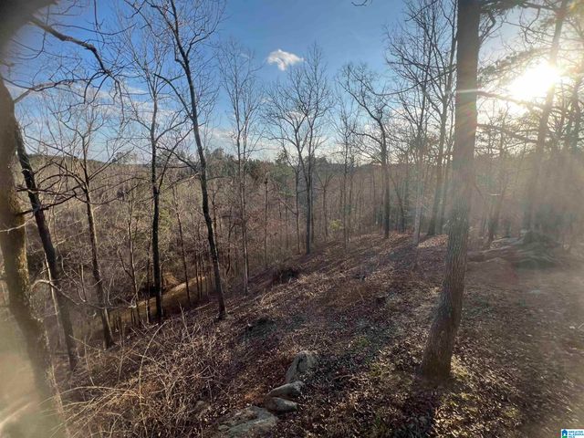 600 COOSA COUNTY ROAD 301, Rockford, AL 35136