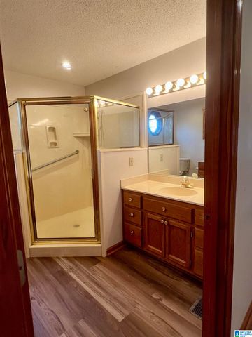 600 COOSA COUNTY ROAD 301, Rockford, AL 35136