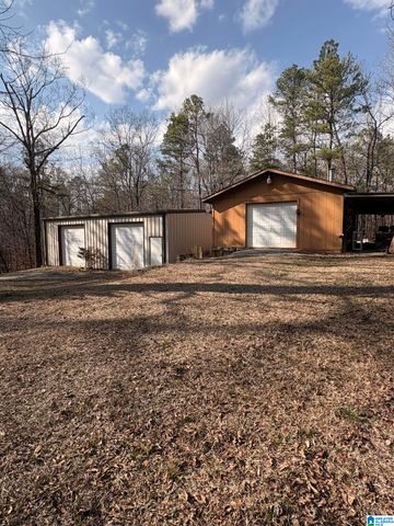 600 COOSA COUNTY ROAD 301, Rockford, AL 35136