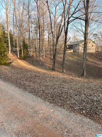 600 COOSA COUNTY ROAD 301, Rockford, AL 35136