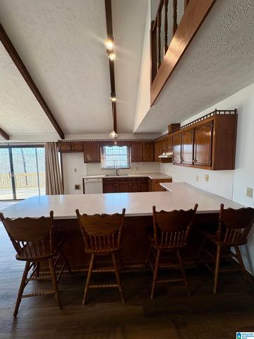 600 COOSA COUNTY ROAD 301, Rockford, AL 35136