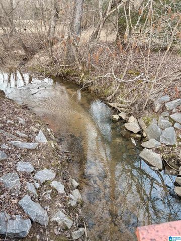 600 COOSA COUNTY ROAD 301, Rockford, AL 35136